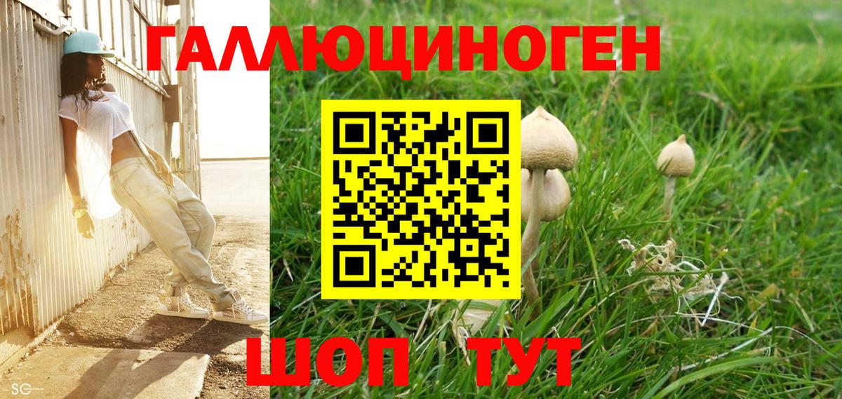 Псилоцибиновые грибы Cubensis Сергиев Посад
