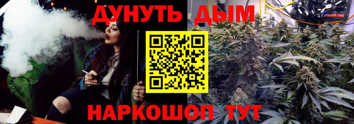 Бошки Шишки планчик Сергиев Посад